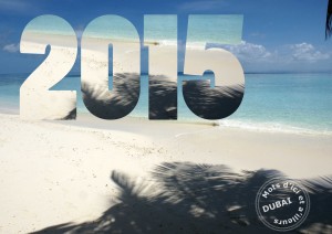 Lire la suite à propos de l’article Bonne année 2015 !